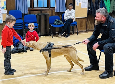 Goose having a good sniff