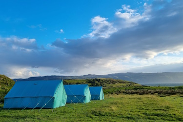 the tents